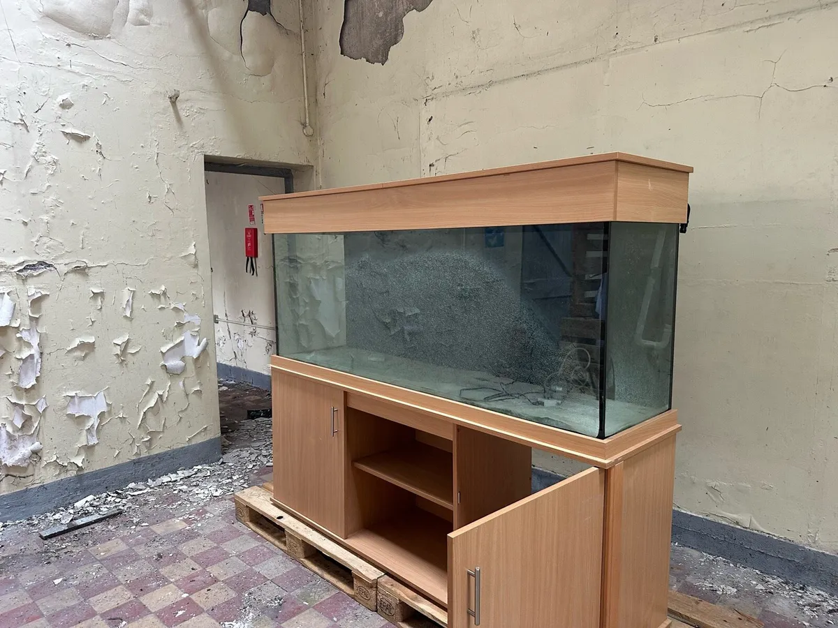 Fish tank - Image 2