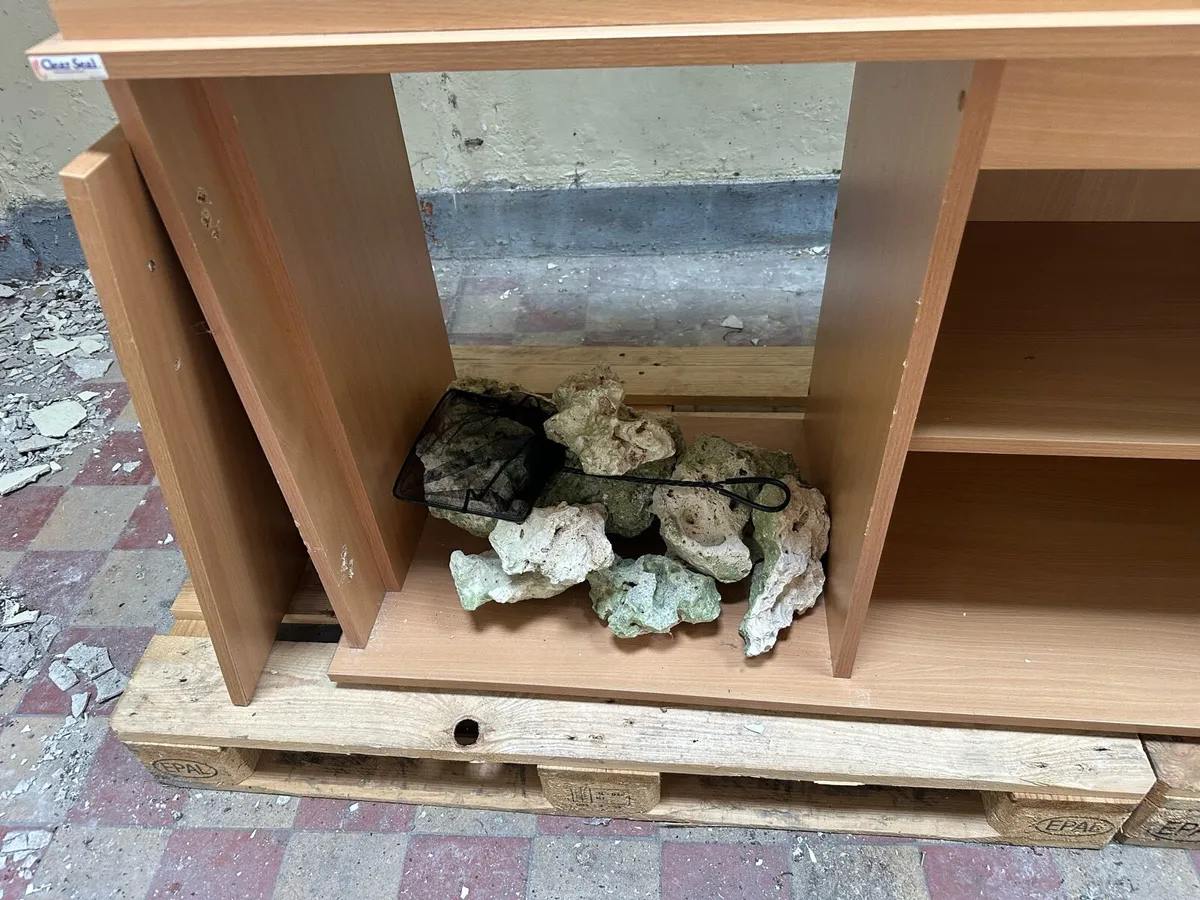 Fish tank - Image 4