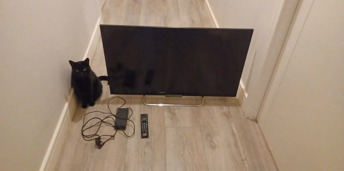 43'' TV Monitor