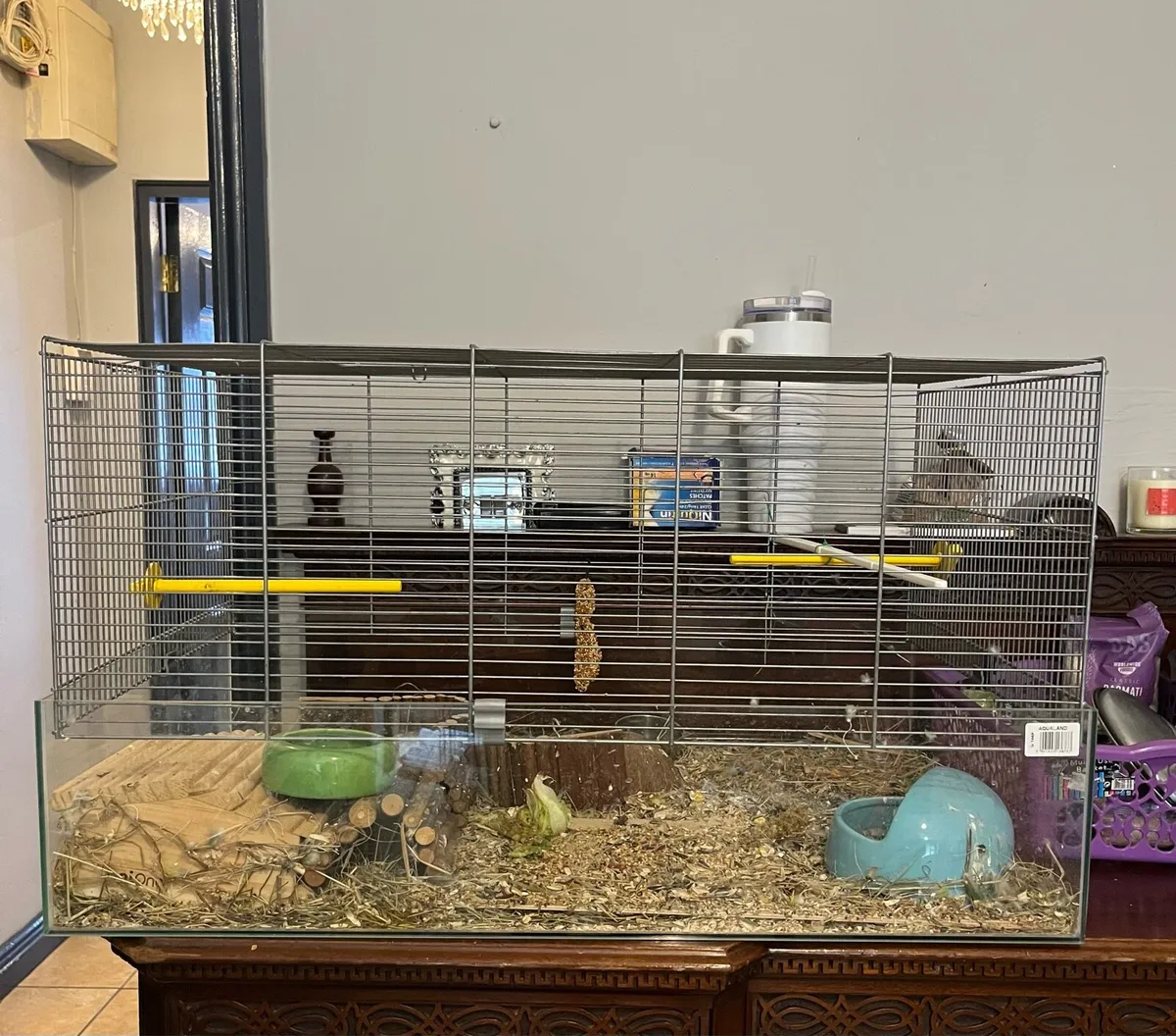Cage - free….