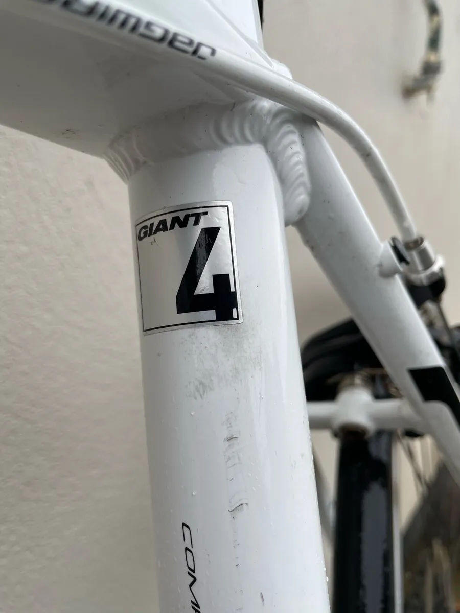 Giant Defy - Image 1