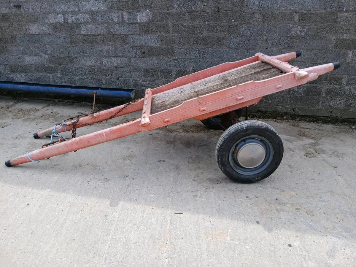 Donkeys car - Image 1