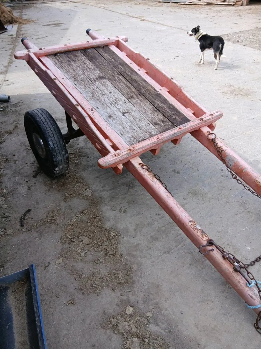 Donkeys car - Image 2