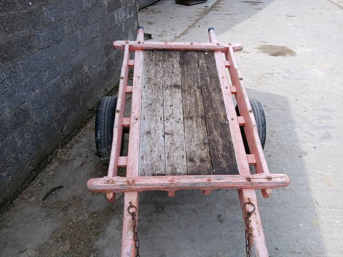 Donkeys car - Image 3