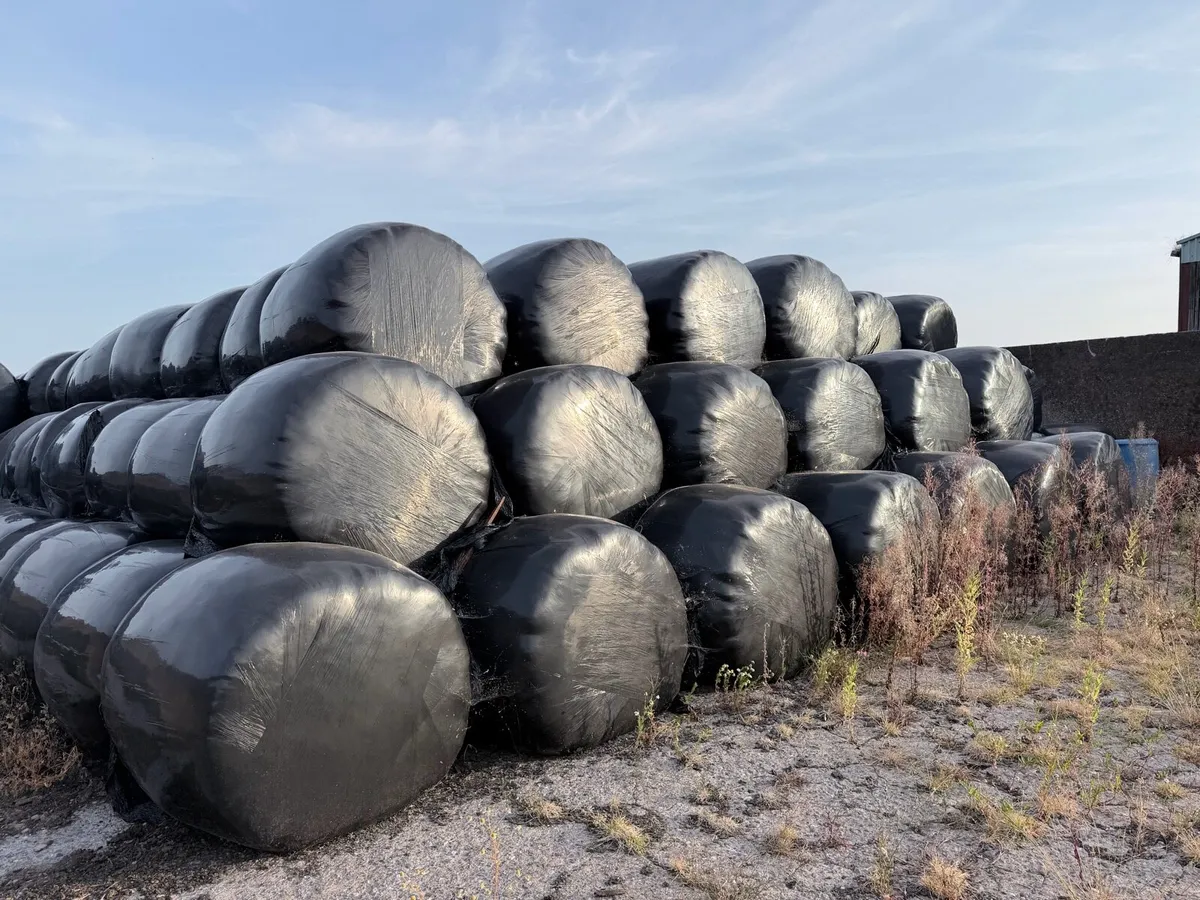 Silage bales