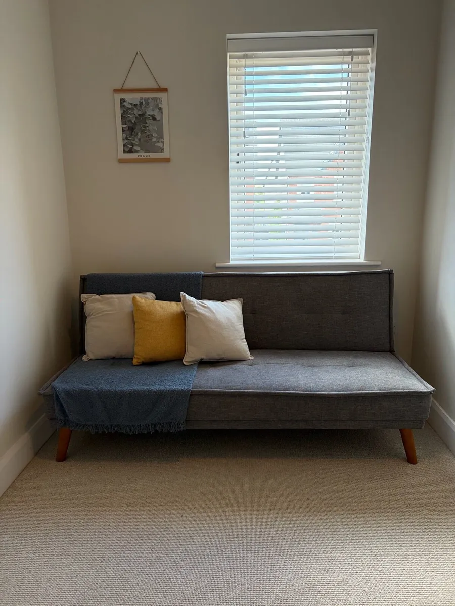 EZ Living Sofa Bed - Image 1