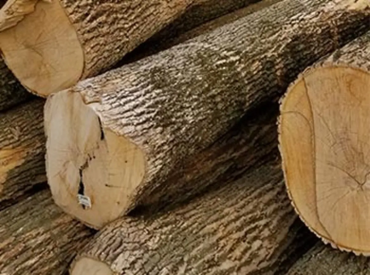 Hardwood logs lengths
