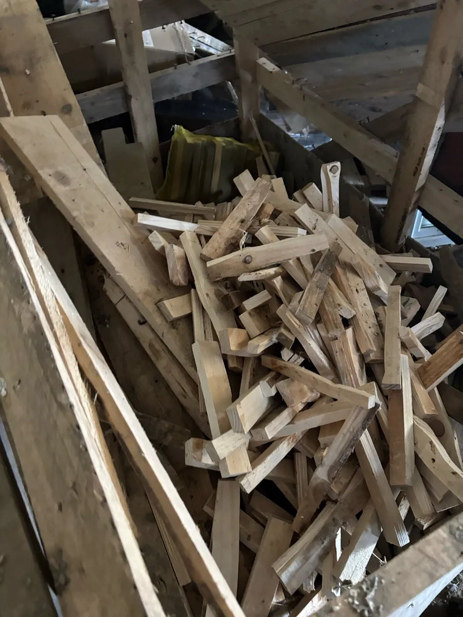 Kindling - Image 1