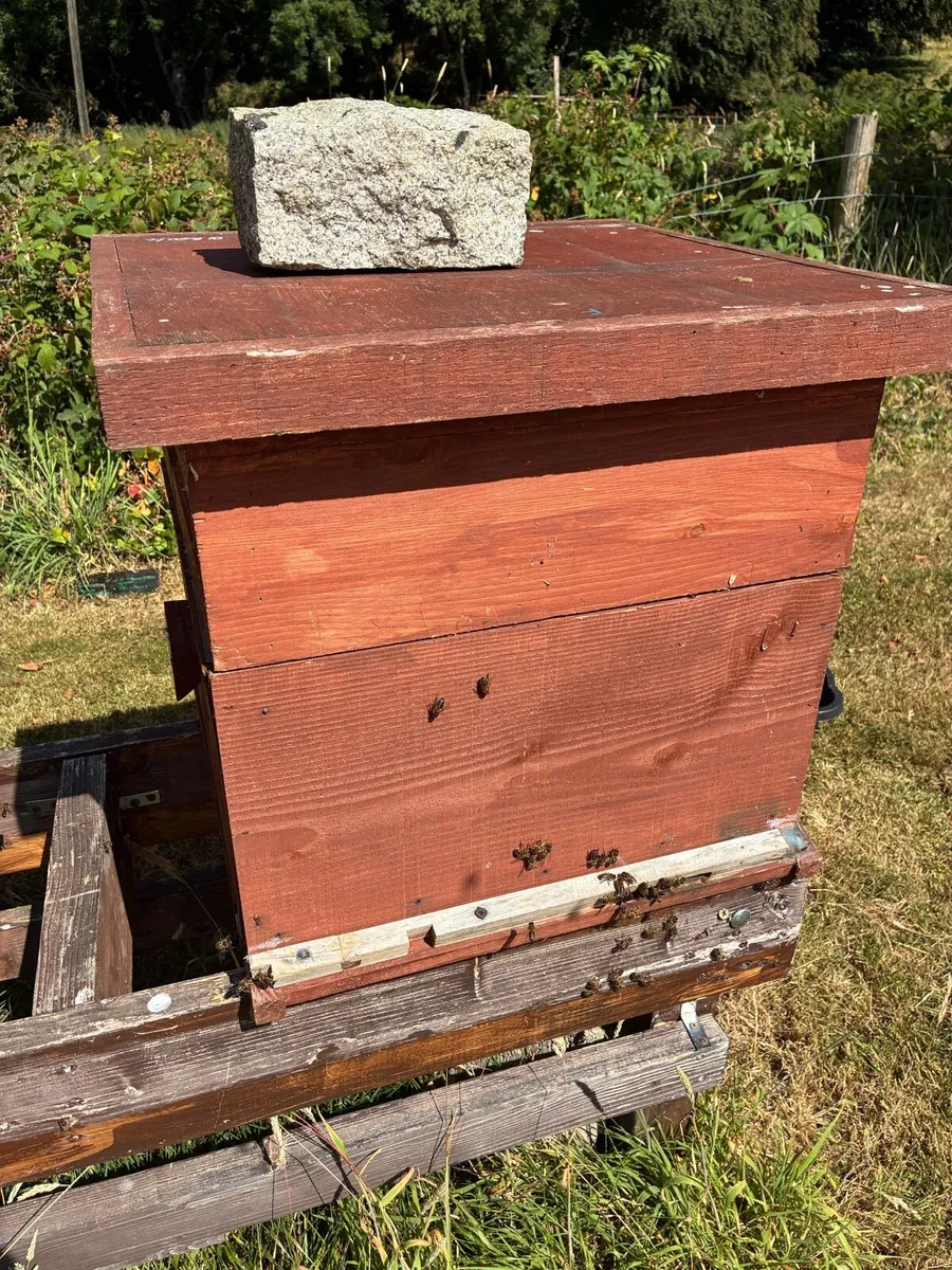 National Bee Hive with Super - Image 1
