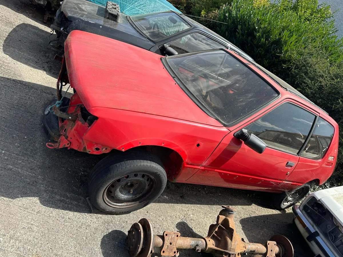 Peugeot 205 Gti 1.6 - Image 1