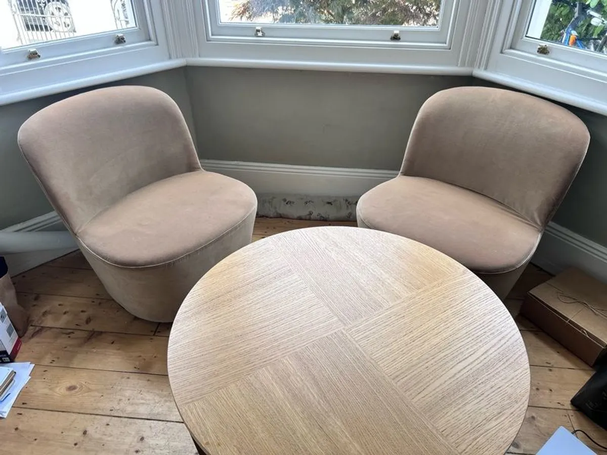 Coffee and gorgeous velvet swivel chairs - Image 2
