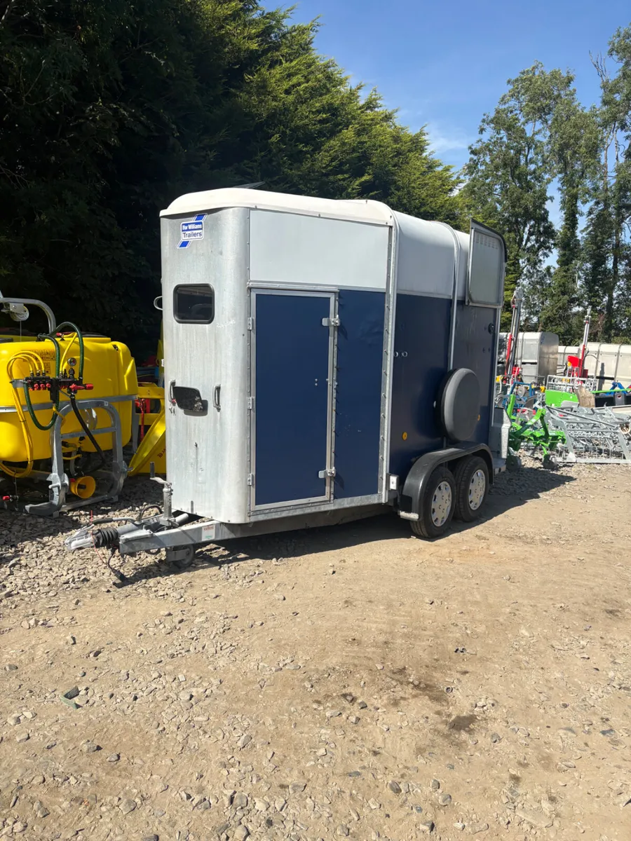 Ifor Williams 505 horse box - Image 1