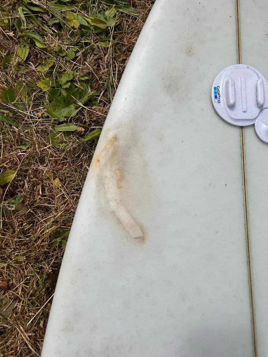 Surfboards (DHD & Beach Beat) - Image 3