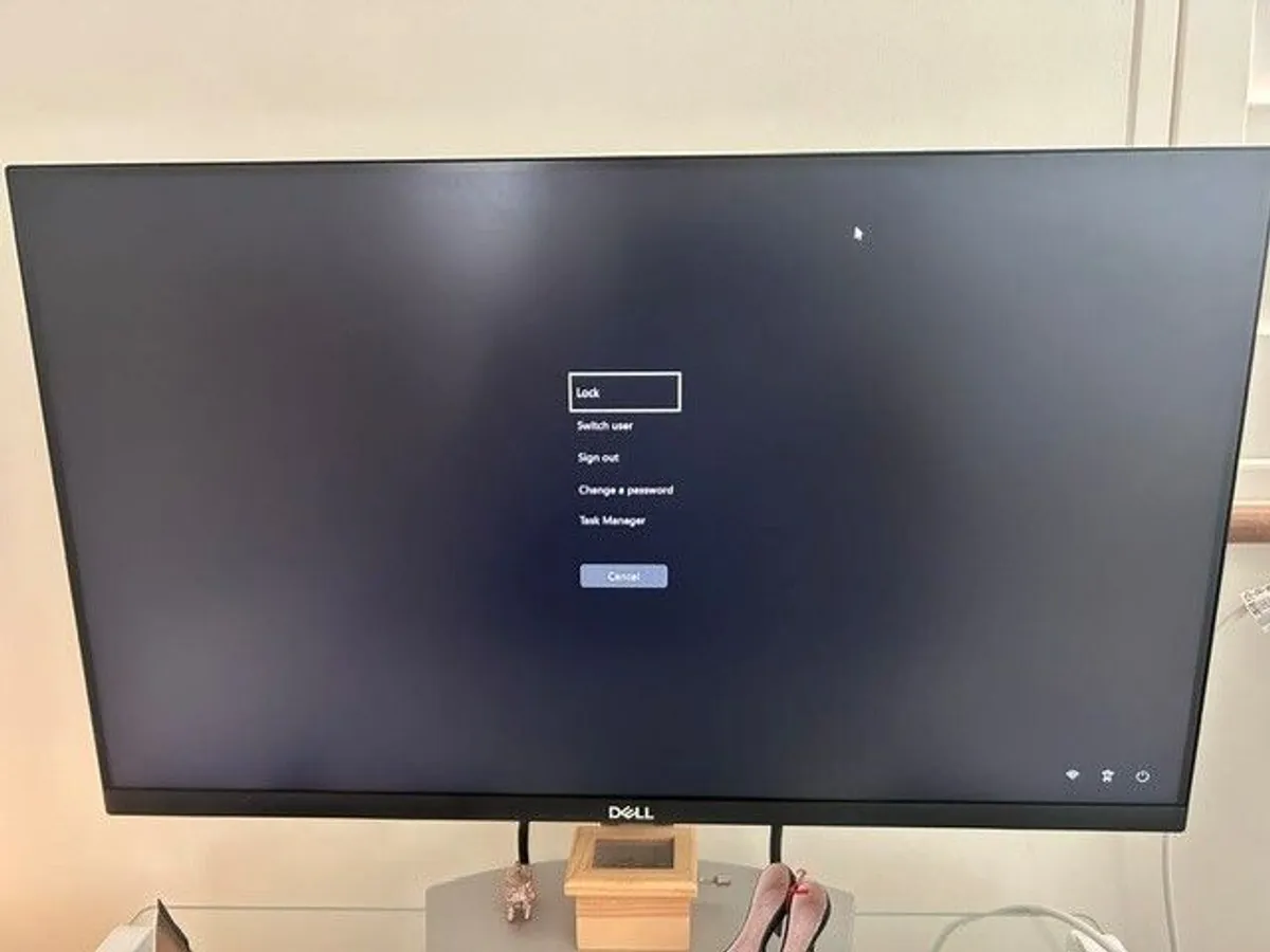 Dell 24 inch monitor