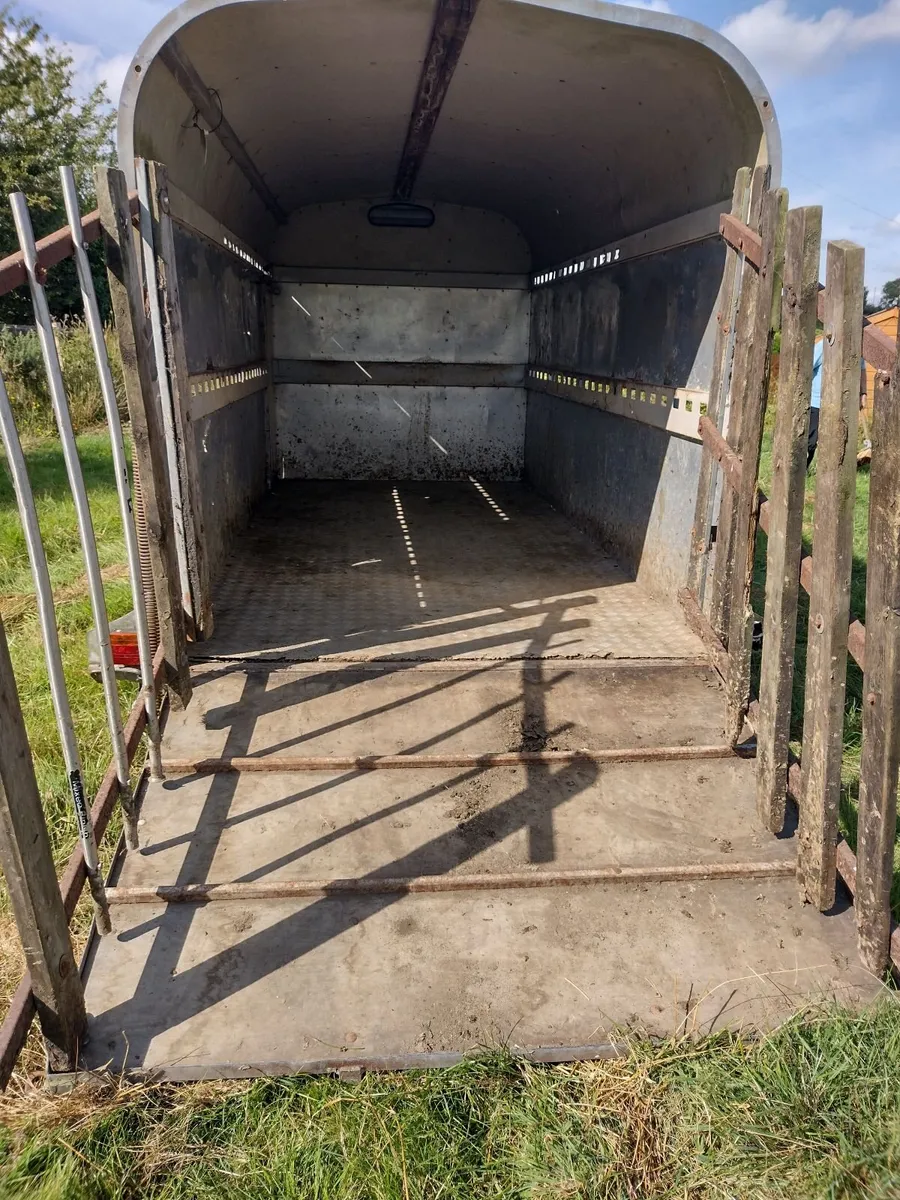 Cattle Trailer - Image 3