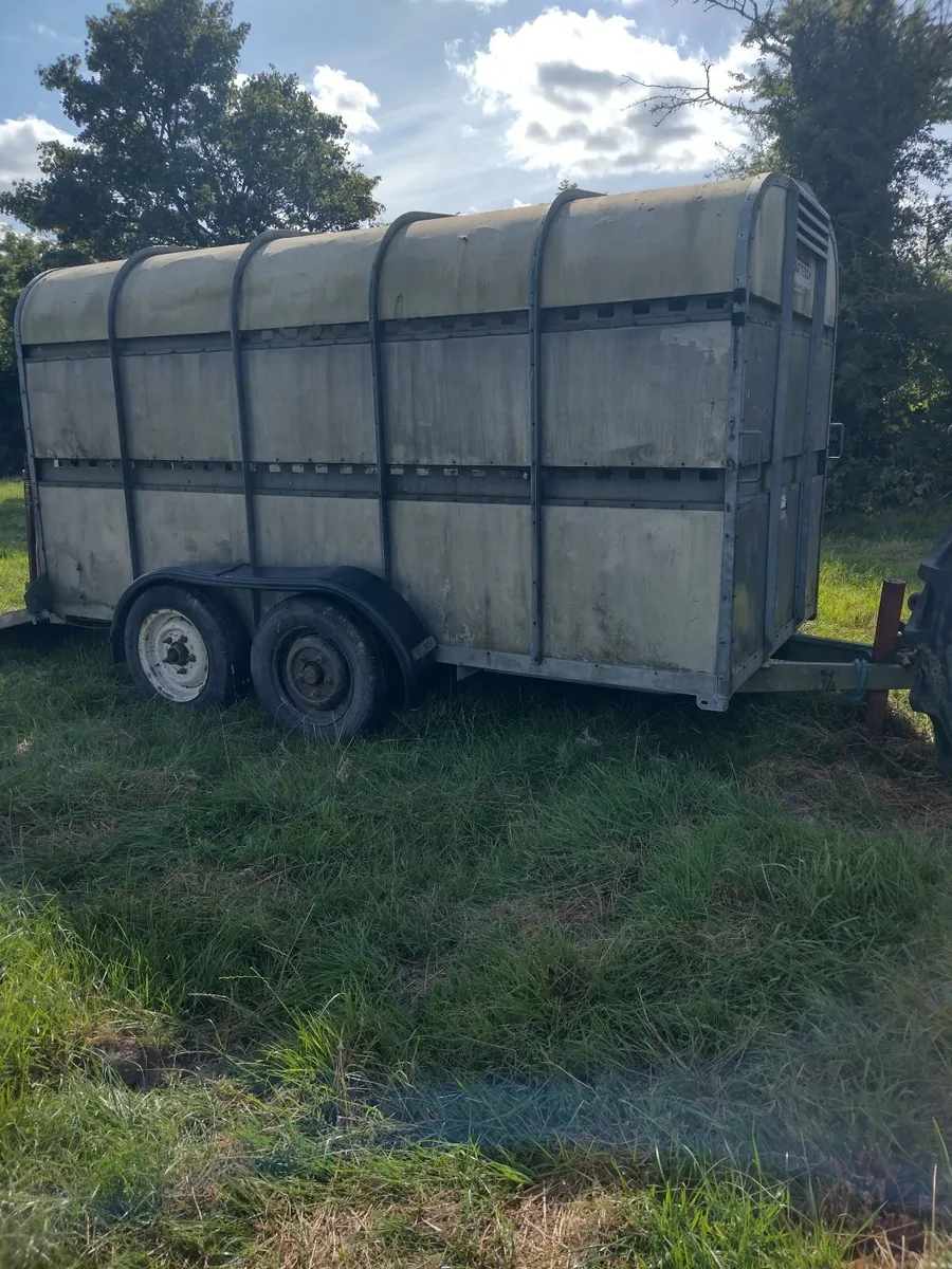 Cattle Trailer - Image 4