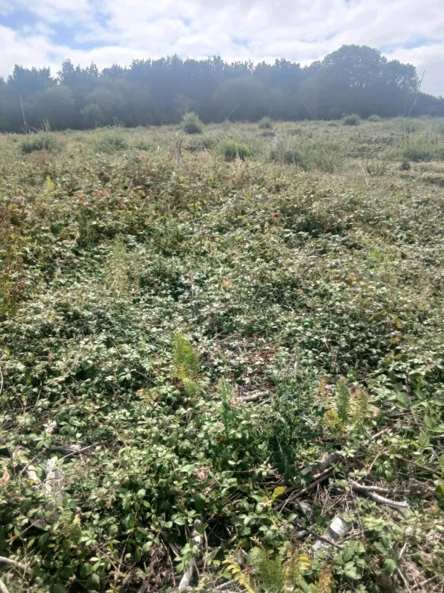 Land lease - Image 4