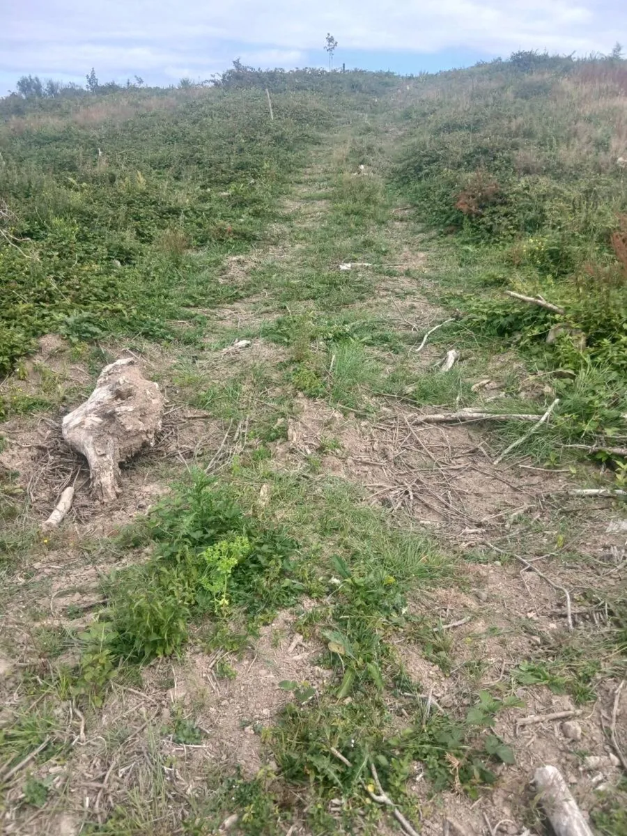 Land lease - Image 2