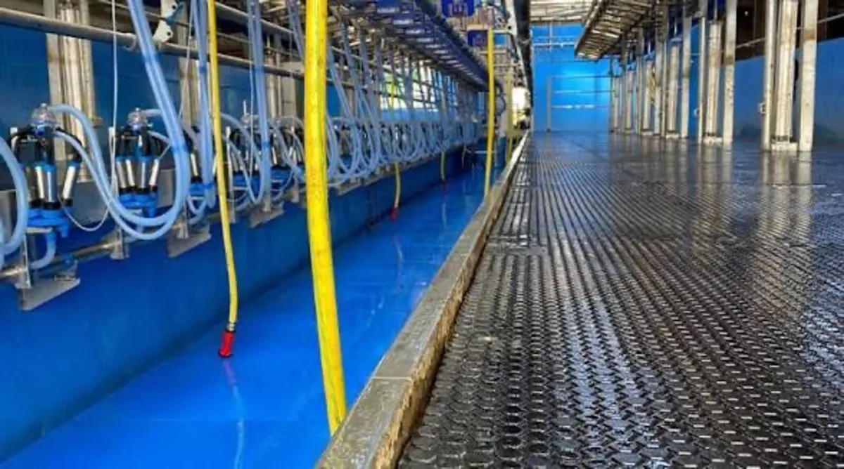 Relief Milking North Cork