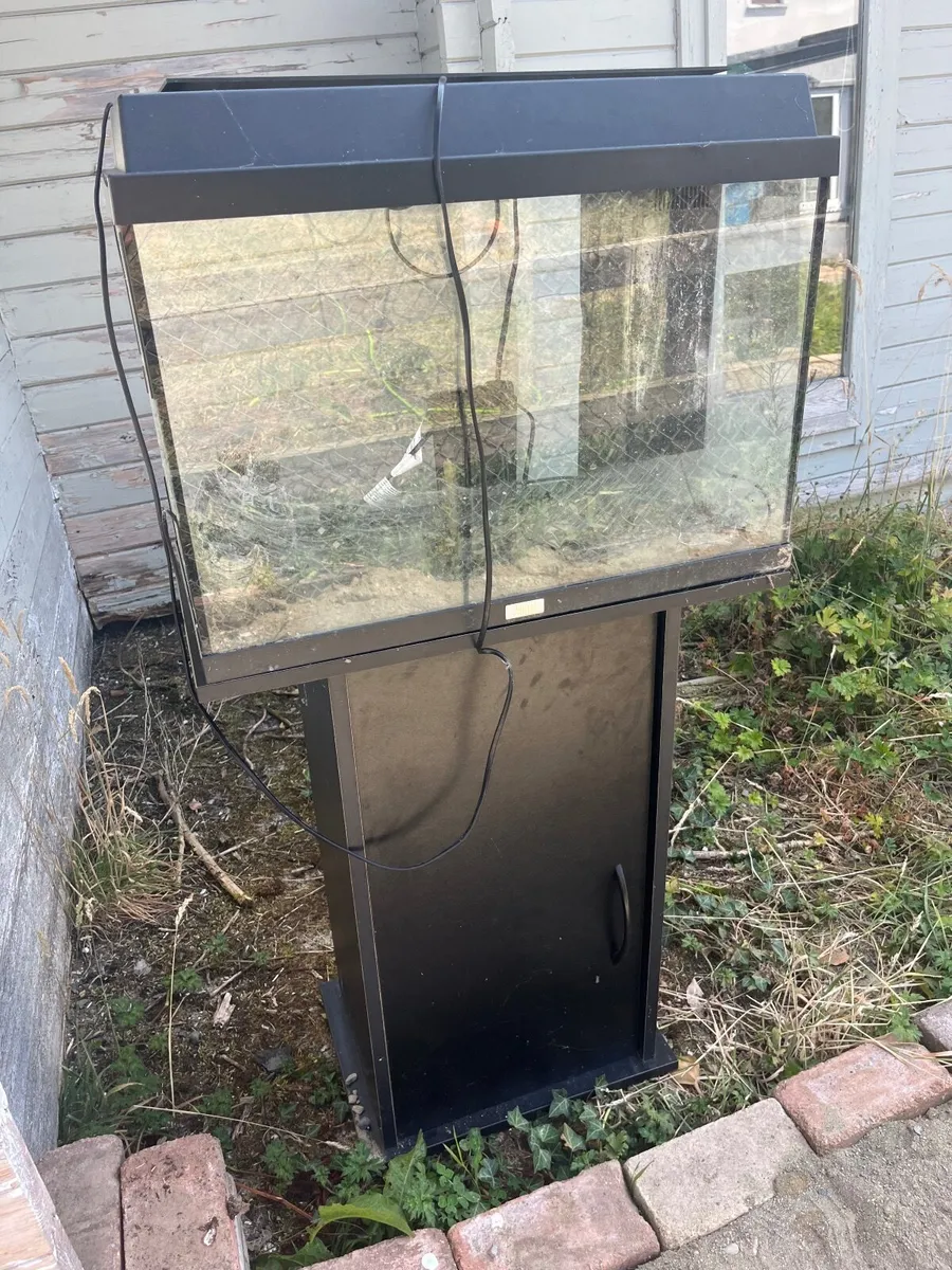 Fish tank