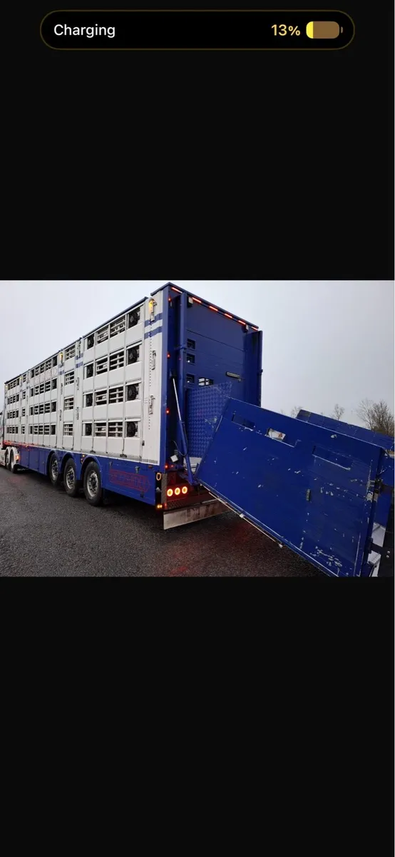 Pezzaioli livestock trailer - Image 2