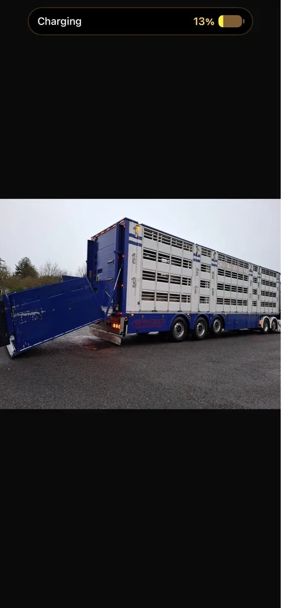 Pezzaioli livestock trailer - Image 4