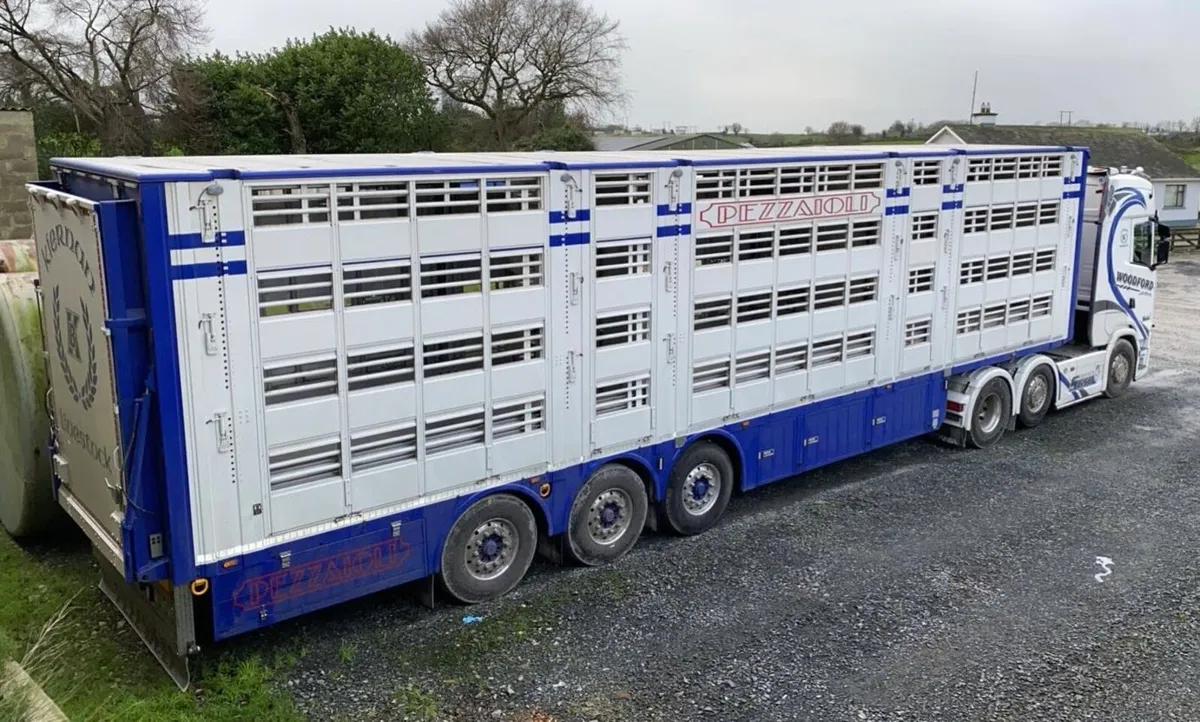 Pezzaioli livestock trailer - Image 1