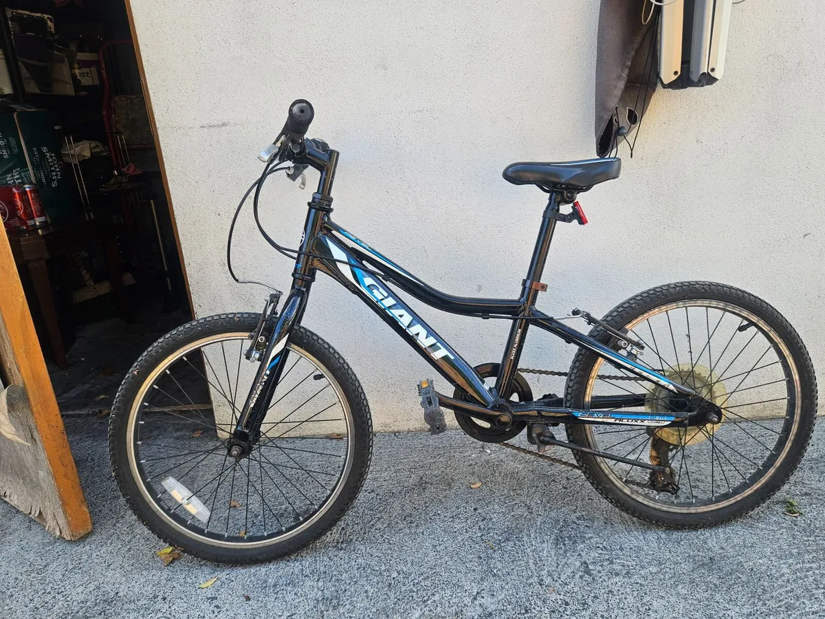 20 inch boys bicycle Giant - Image 1