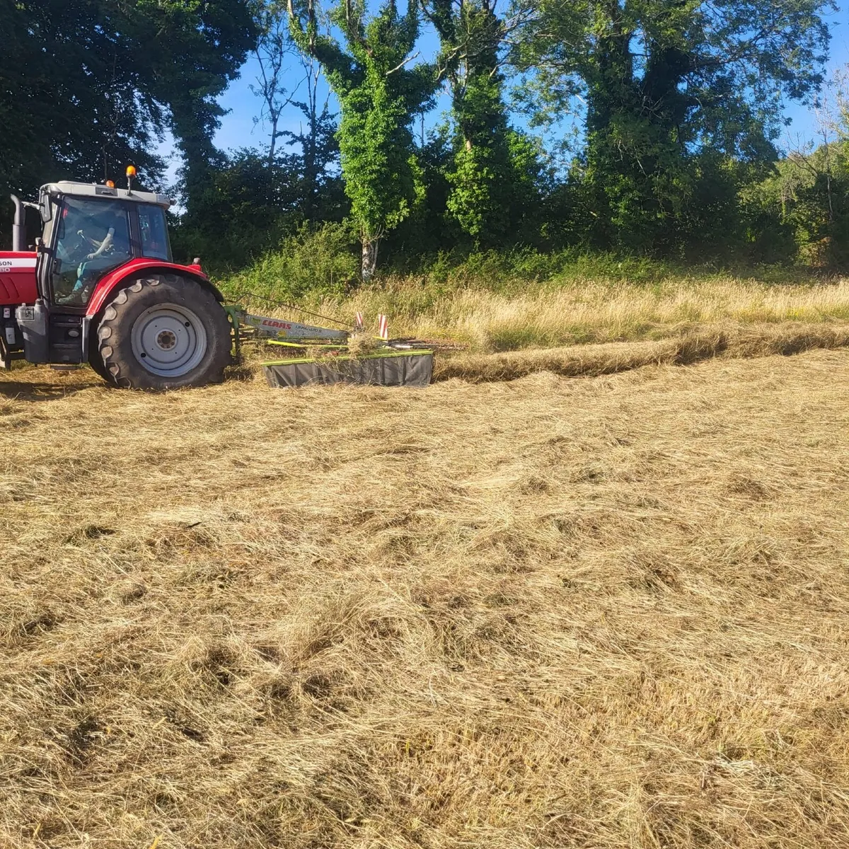 Claas Liner single rotar rake - Image 2