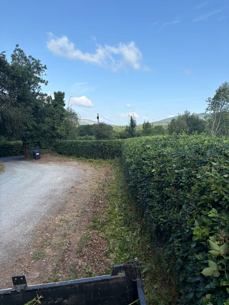 Hedge cutting services - Image 1