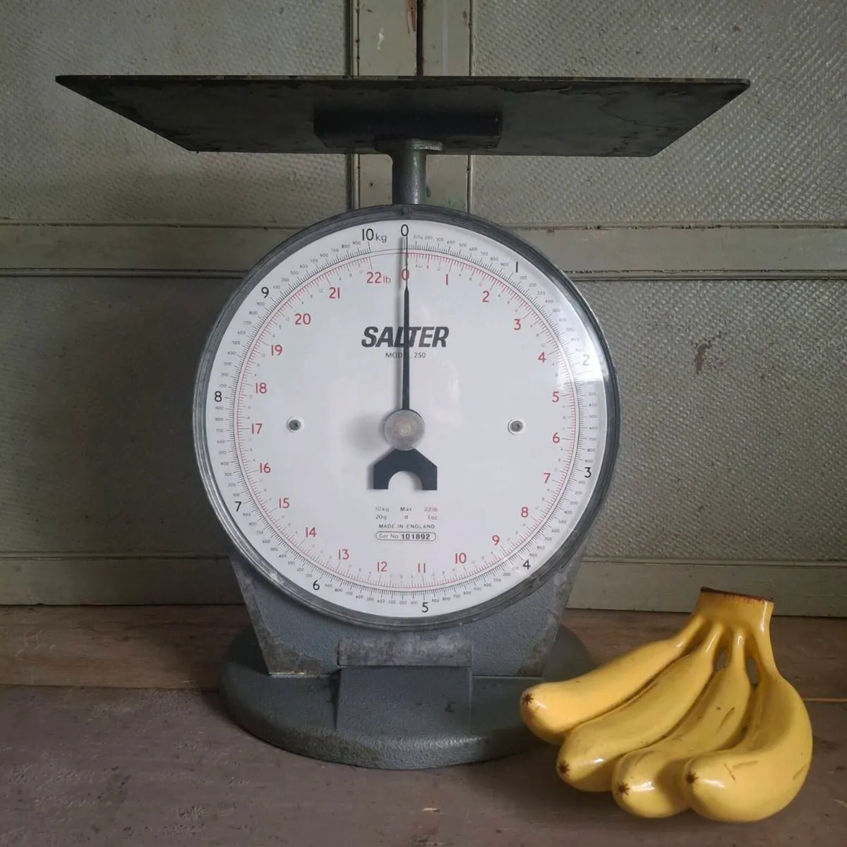 Salter Model 250 Industrial Scales - Image 1