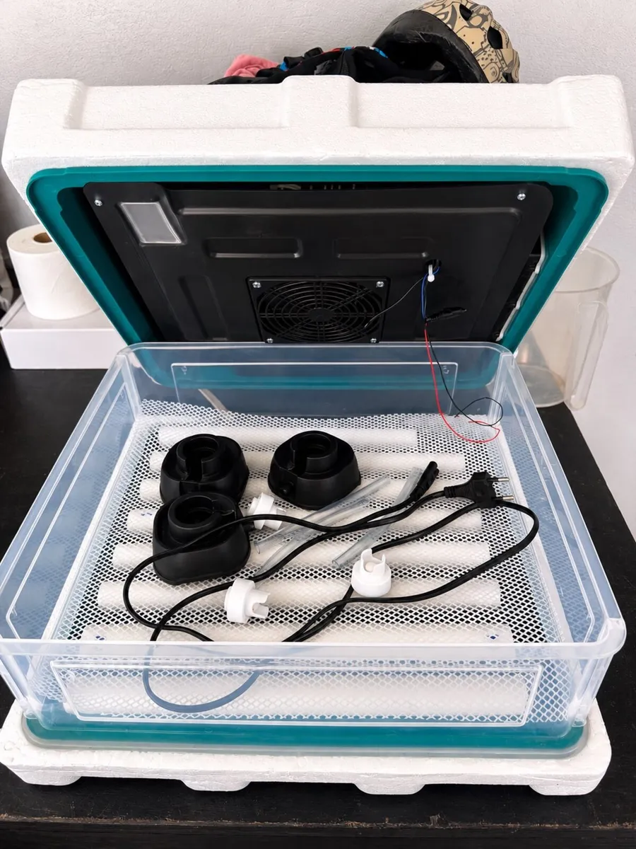 Egg incubator - Image 2