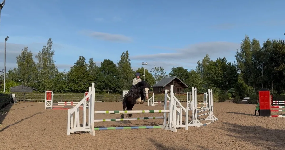 Pony - Image 1