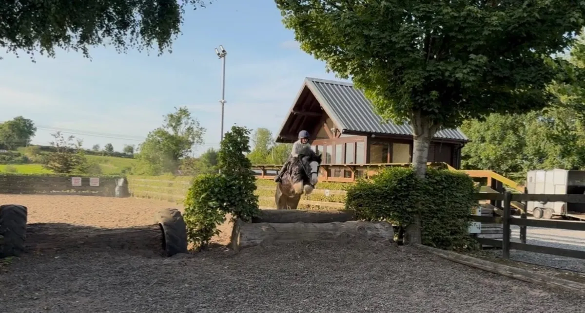 Pony - Image 2