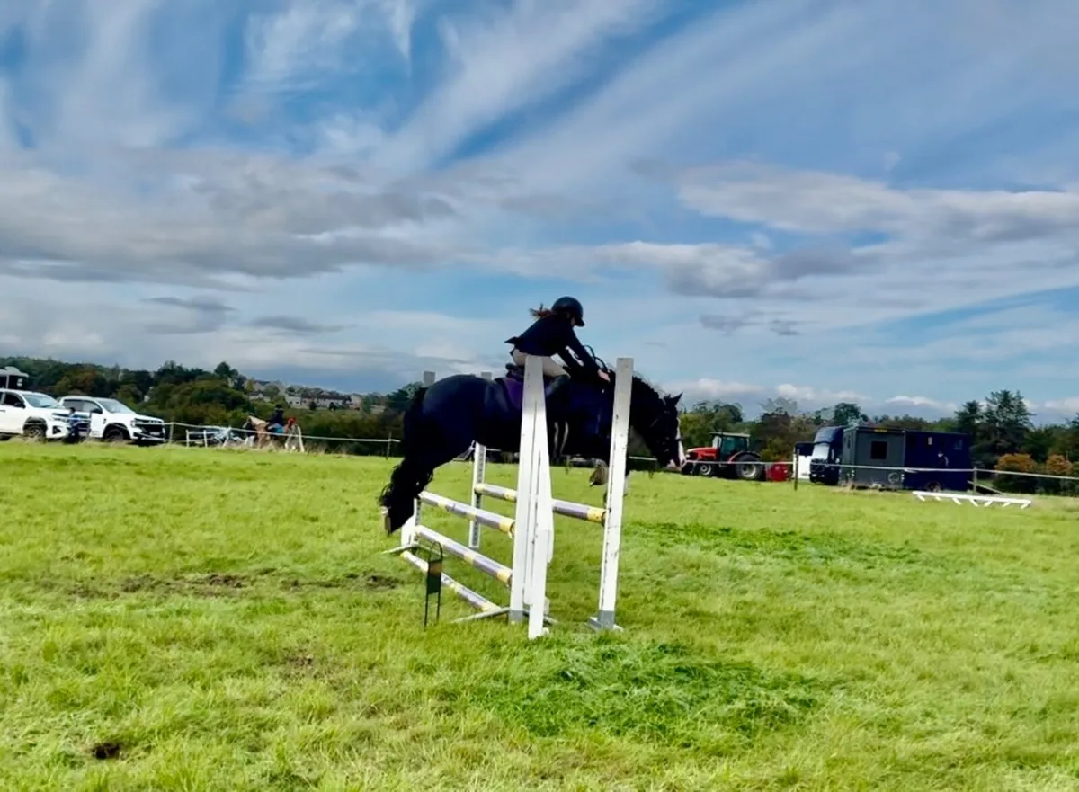 Pony - Image 4