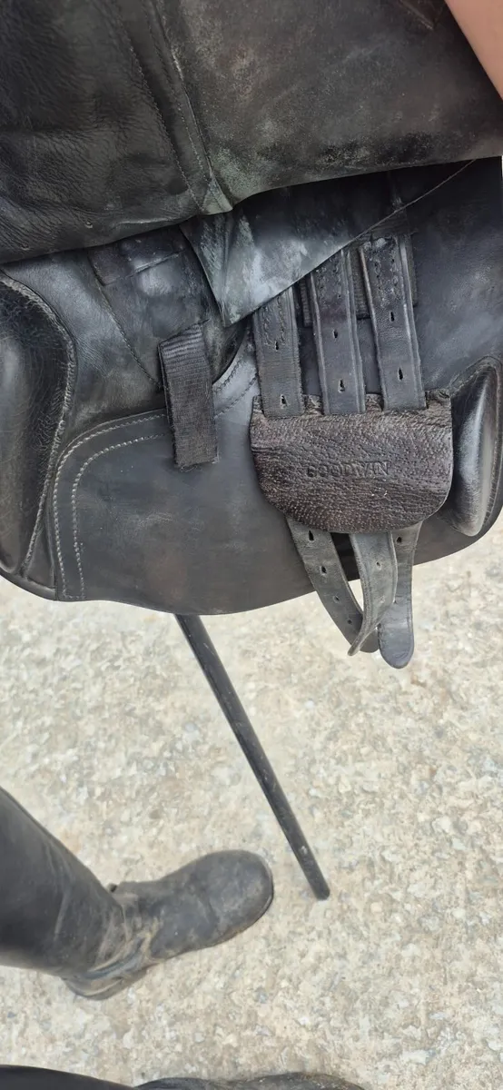 Albion Black GP 17.5" Saddle - Image 4