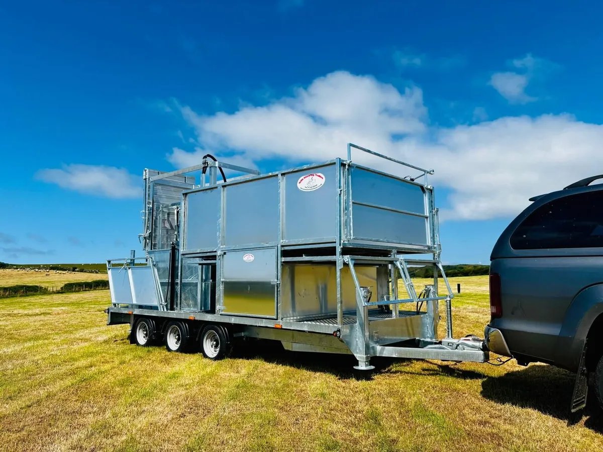 Mobile cage sheep dipping - Image 2