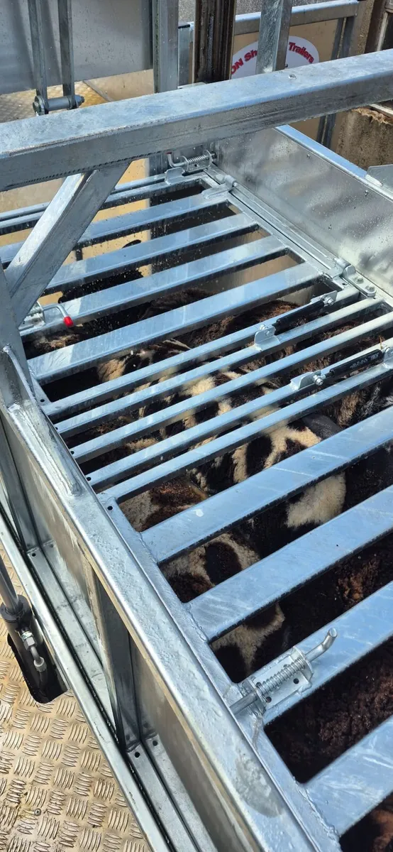 Mobile cage sheep dipping - Image 3