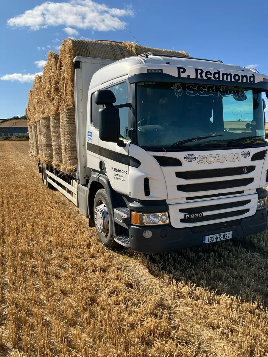 Hay and straw - Image 4