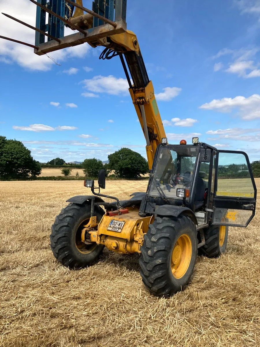 Hay and straw - Image 2