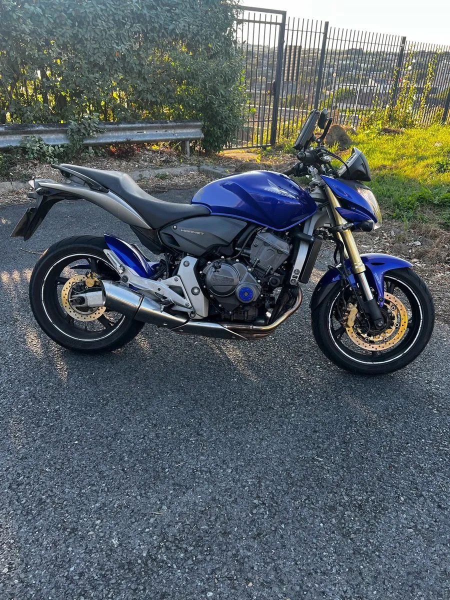 Hornet 600cc 2008 (Stage 2, Full Remap) - Image 3