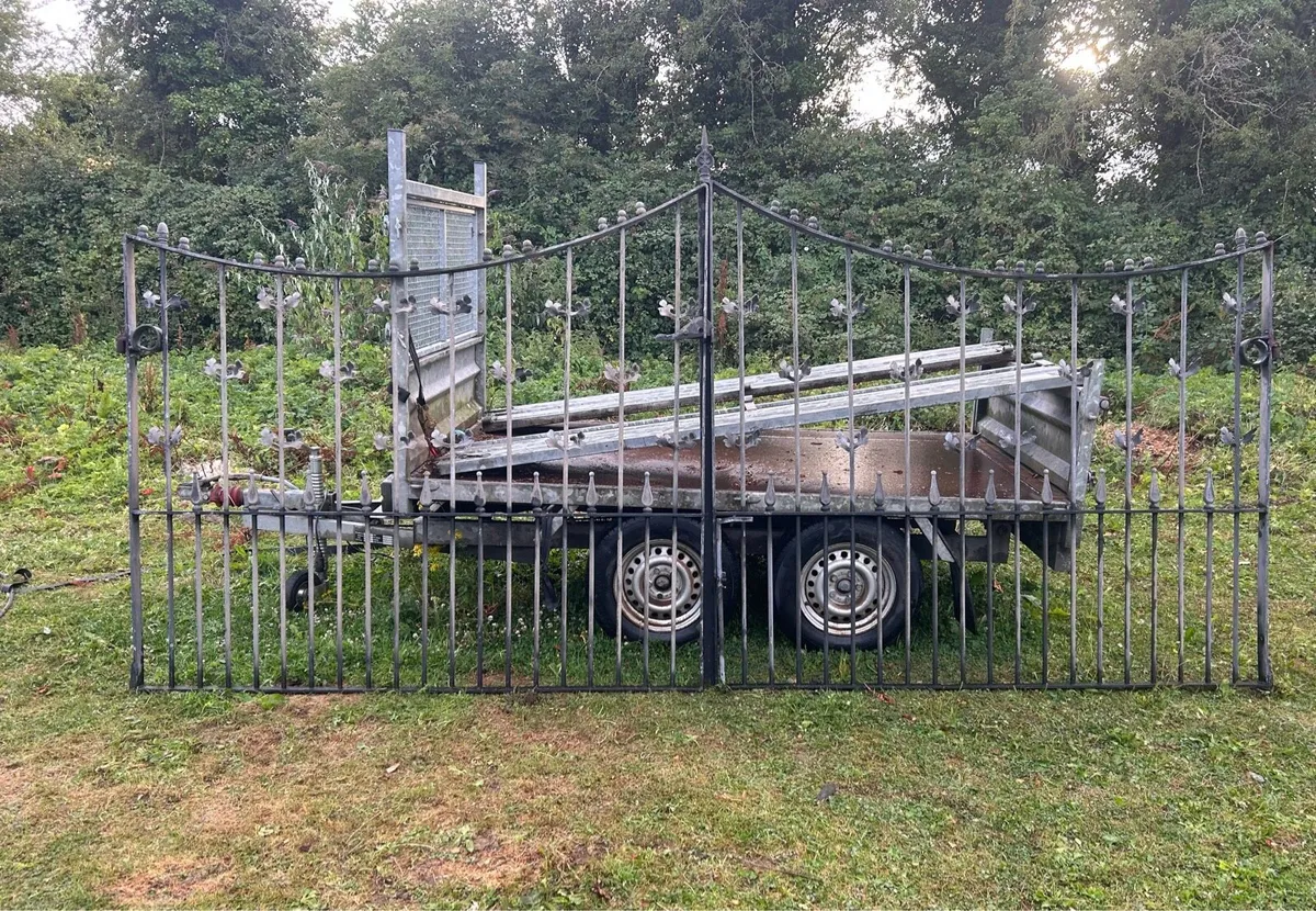Two pairs of gates - Image 2