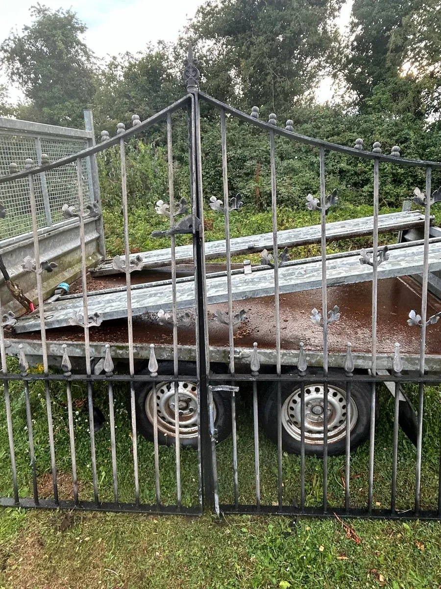 Two pairs of gates - Image 3