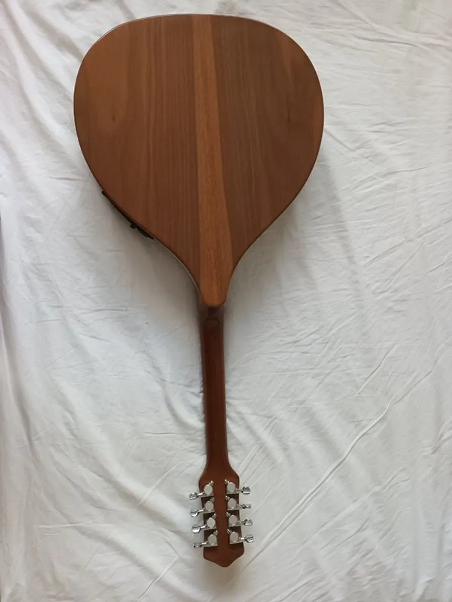 Dave Freshwater octave mandolin - Image 2