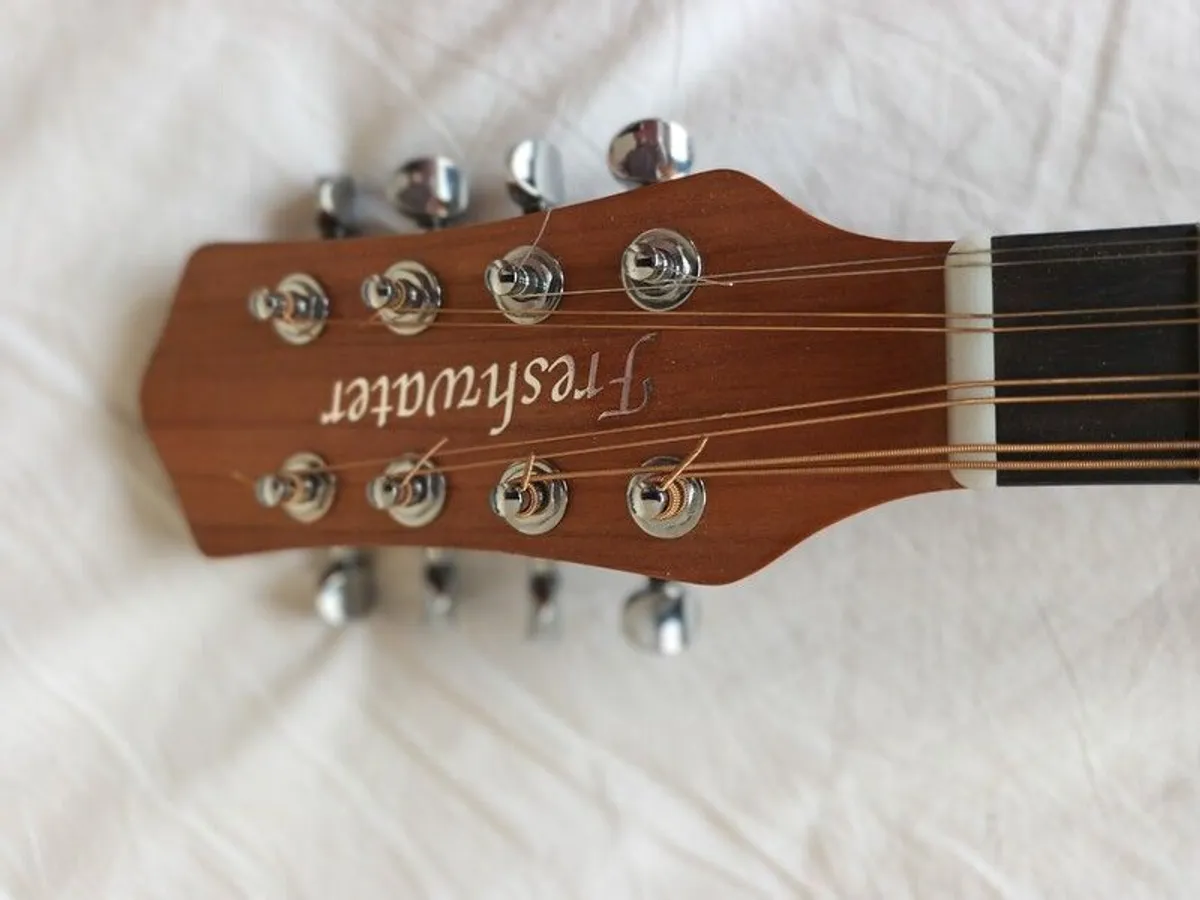 Dave Freshwater octave mandolin - Image 3