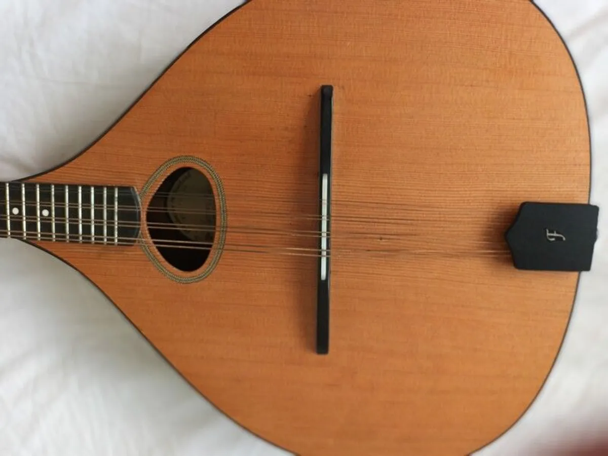 Dave Freshwater octave mandolin - Image 4