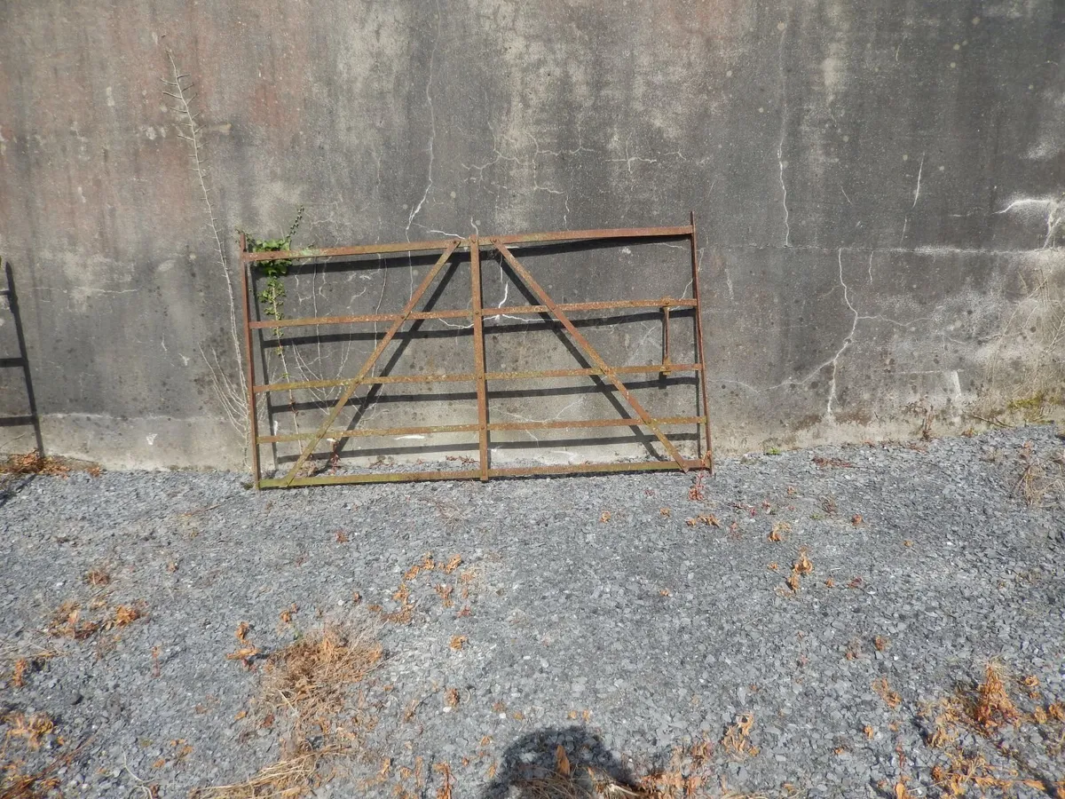 forged gates - Image 1