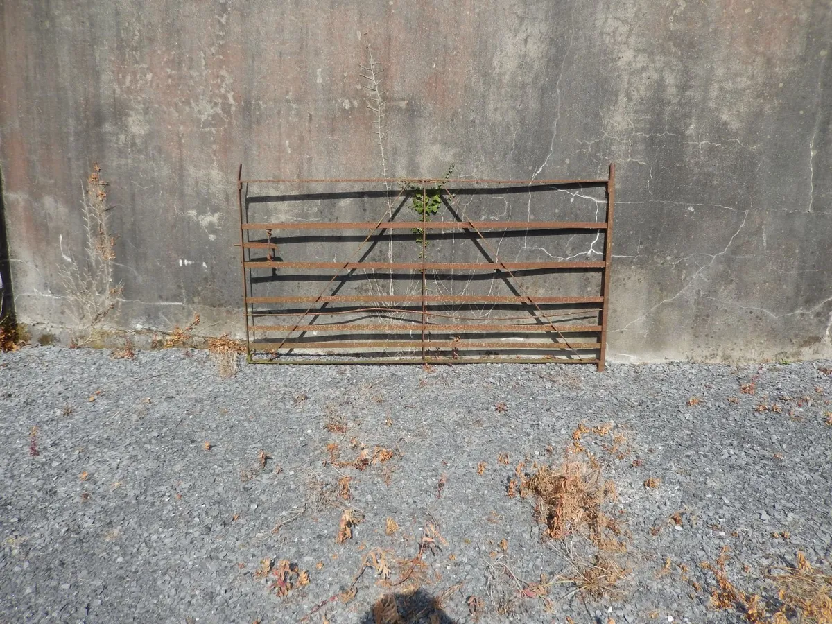 forged gates - Image 2