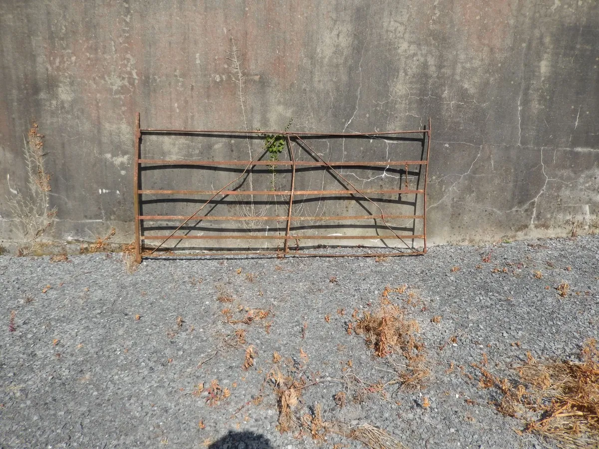 forged gates - Image 3