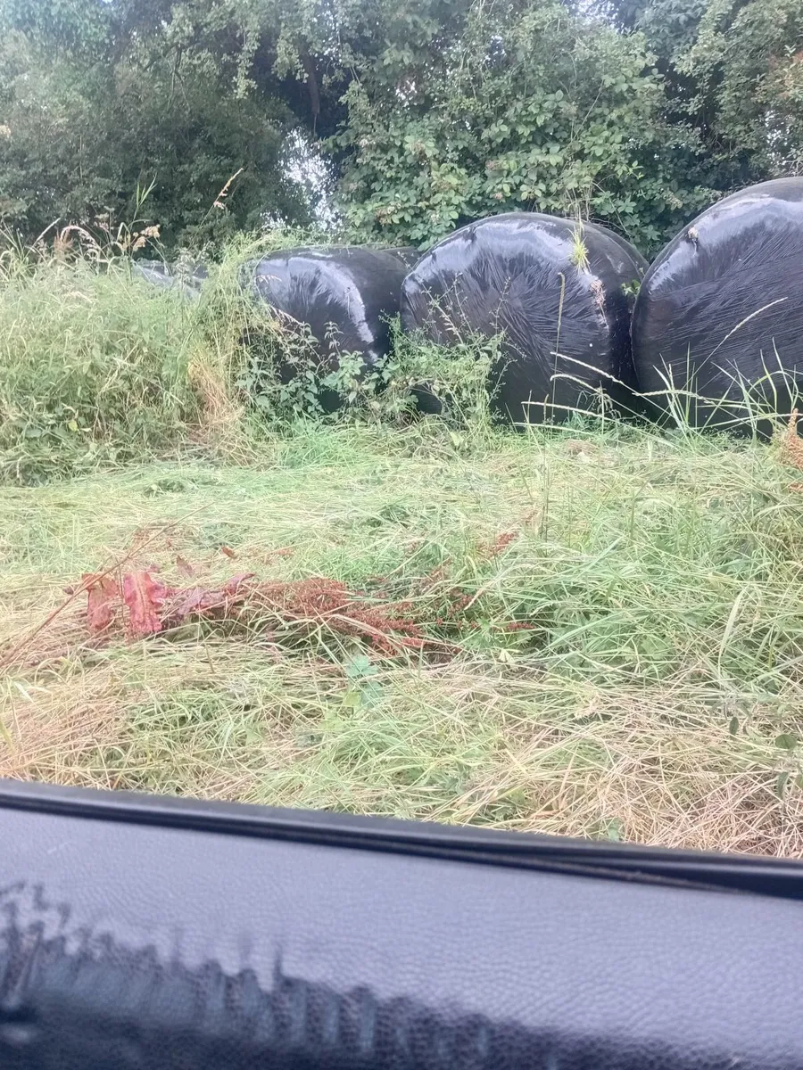 Silage and haylage for sale - Image 4